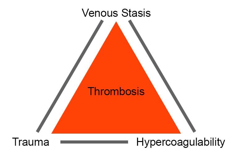 VTE Prophylaxis(图4)