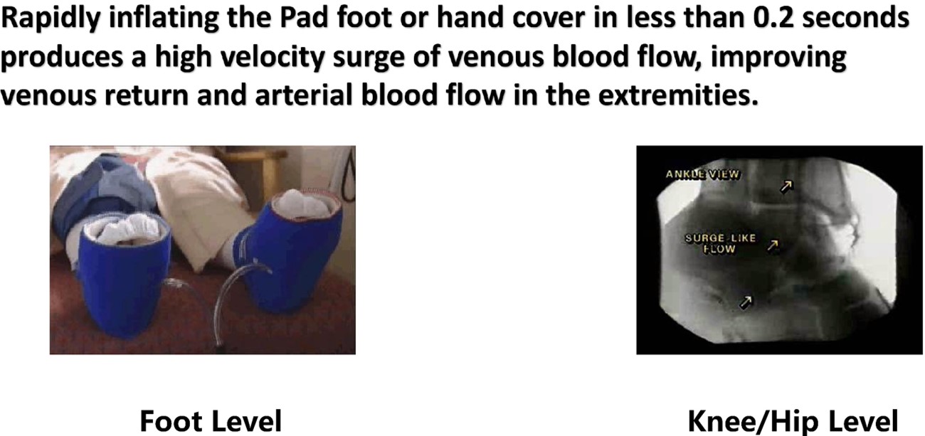 Modern Treatment for Arterial Disease(图7)