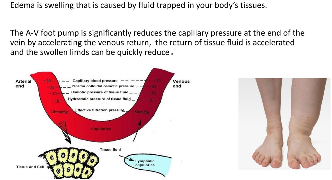 Modern Treatment for Arterial Disease(图27)