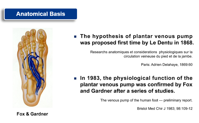 Modern Treatment for Arterial Disease(图3)