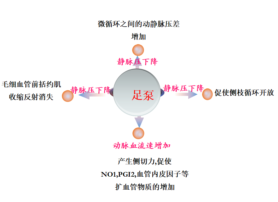 下肢动脉硬化闭塞症(图3)